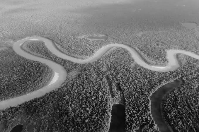NAS CORRENTEZAS – CRÍTICA DO CONTO “RIO DOS BOIS” DE OTAVIO LEONIDIO